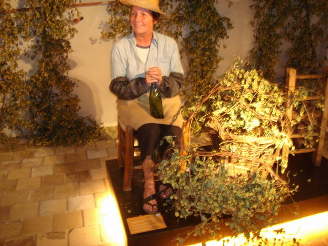 http://www.thamerken.be/images/uitstappoperinge08/2008%20010.jpg