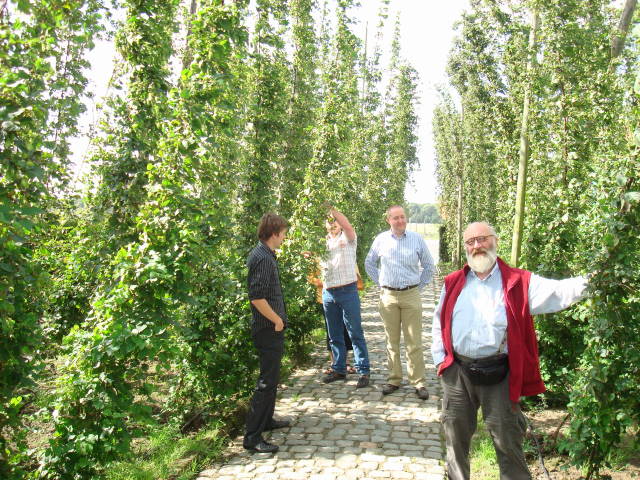 http://www.thamerken.be/images/uitstappoperinge08/2008%20021.jpg